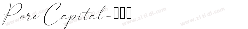 Pure Capital字体转换